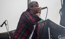 we-are-the-rose:  The Color Morale @ South By So What?! by Connor