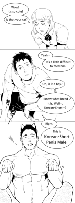 winemvee:  Korean short hair cat is cute. Korean short penis