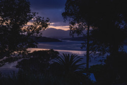 piavalesca:  a walk on the hill in the blue hour at rawene campground.