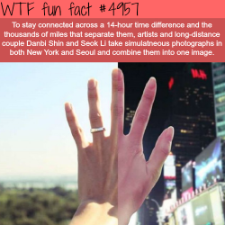 wtf-fun-factss:  Long distance couple combine photos from NY