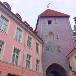 maringyu:  Pastel Buildings 💛💖💜 Old Town, Tallinn, Estonia