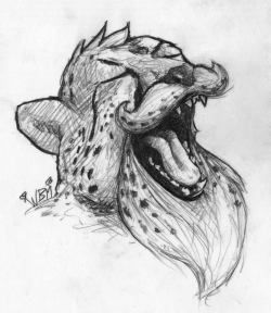 Cheetah with Beard… It had to be done. Wagram-Cheetah…CheetagramI