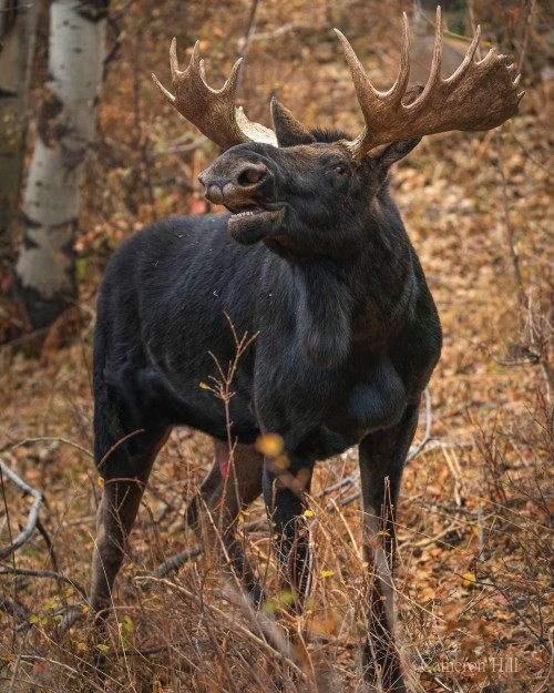 wisco-warrior:  Cameron Hill Photography