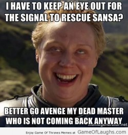 gameoflaugh:  Brienne screwed up once again http://gameoflaughs.com/