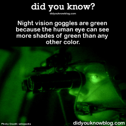 did-you-kno:  Night vision goggles are green because the human