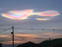  Polar stratospheric cloud photographed in Antarctica  