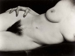 desirderius:  airotique:  cartopus:  Edward Weston ph.  Bush