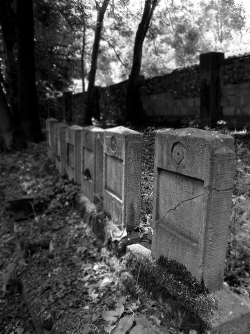 mournful-euphony:  Jewish cemetery, Cracow, Poland Don’t change