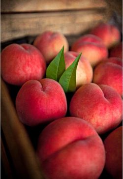 thelustingcanadiangentleman:  Mmmmmmm. Peaches.  Split me open