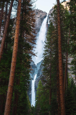 gia-sereia:  banshy:  Yosemite Falls by Oscar Nilsson  💋🖤