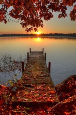 beautymothernature:  Autumn Sunrise. Peli mother nature moments
