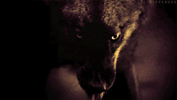 cravinghisbrutality:  •Come to me, my Ravenous Beast and devour
