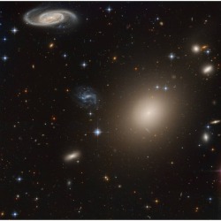Galaxies Away   Image Credit & Copyright: Data - Hubble Legacy