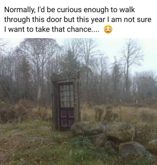 auroradragon1:  That door fascinates me…..