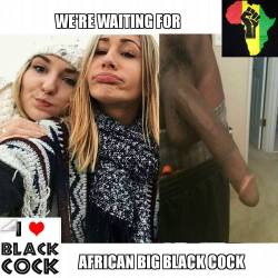 breedingthefuture: blondeblackcockslut: Black cock slut women