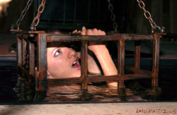 littlejetgirl:  slavefarmer:  Torture and terrorize your slaves