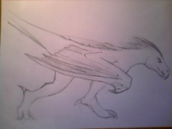 miniar:  dumb 10 minute wyvern sketch.. I’m exhausted… 