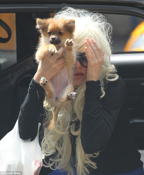 <p><strong>What is happening to Amanda Bynes IMAGE?! According to RadarOnline.com who has reported, Amanda’s parents will appear in court on Friday in Ventura County and petition the judge for temporary conservatorship of their daughter. Amanda’s parents Rick and Lynn do not believe she has the personal and fianancial capacity to take care of herself.</strong></p>
<p><strong>TMZ is also reporting that there will not be charges pressed against Amanda Bynes for her connection to the arson and trespass that occured on Monday. Police and prosecutors are indicating that her behavior is that of a mentally ill person.</strong></p>
<p><strong>I am not certain what is going on with Amanda Bynes. However, this young lady has obvious signs that something is seriously going on that is trigerring her into acting out in many ways..  I am grateful however, that her parents Rick and Lynn are stepping in and seeking Amanda’s best interest.  This is not a situation to be judged but a necessary intervention that will move Amanda Bynes into a healthier and more secure state.</strong></p>
<p><strong>I am hoping that this judge makes an adequate ruling that will help Amanda Bynes with her current situation.  This is one of those exceptions where her IMAGE does not take precedence over that of her well being.</strong></p>
<p><strong>Stay tuned to hear of the judge’s ruling on friday regarding Amanda’s Parents request before the judge. Wishing Rick and Lynn the very best.</strong></p>