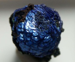 mineralists:  Ball of Azurite 