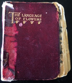 discontented-delight:  I just found this diary of all my grandmothers