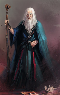 themagicmissile:  Human Wizard by SaturnoArg http://saturnoarg.deviantart.com/art/Human-Wizard-216175204