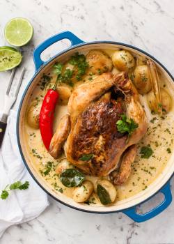 do-not-touch-my-food:    Coconut Pot Roasted Chicken    