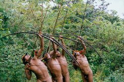 ohthentic:  androphilia:  Awá men hunting with bows and arrows