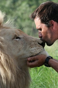 wonderous-world:  Kevin Richardson, ”The Lion Whisper” works