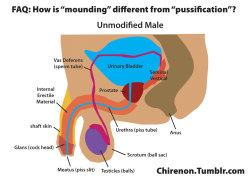 slave624339064: chirenon:  I frequently am asked about the difference