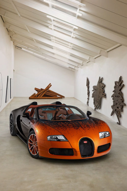 expens:  2012 Bugatti Veyron Grand Sport Bernar Venet | More