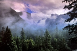 oix:  Yosemite Valley shrouded in clouds, Yosemite National Park,