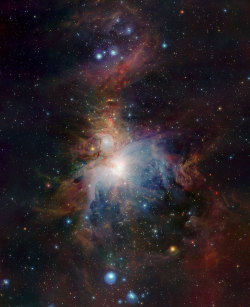 astronomicalwonders:  An Infrared view of the Orion Nebula “This