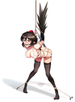 sweet666return:  Shameimaru Aya ( Touhou Project ) 