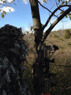 jaysals924:  ‘Sittin here waitin on a Deer’