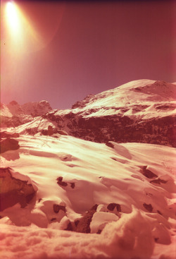 lomographicsociety:  Most Popular Photo Last Year by ishifishy
