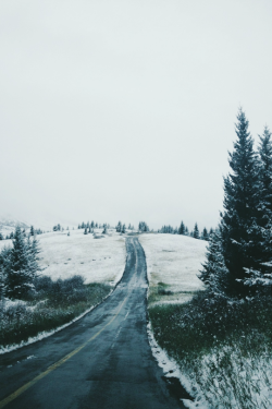 expressions-of-nature:  first southern alberta snowfall of 2014.