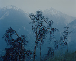 excdus:   David Favrod Gaijin, ”Un paysage bleu”  2009