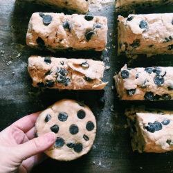 sweetoothgirl:  Chocolate Almond Scones  