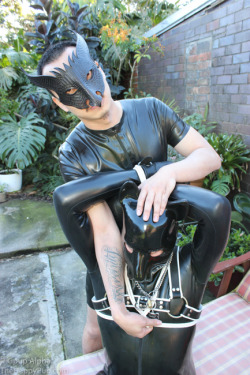 Human Pup Play Fans Master Kel and @Secapup photographed on a