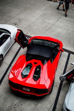 captvinvanity:  Red Lamborghini | Photographer | CV