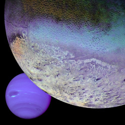 stellar-indulgence: Montage of Neptune and Triton Neptune Full
