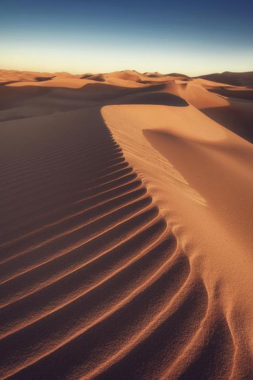 oneshotolive:  Great Sand Dunes Park, Taghit, Algeria [OC] [2000x3000]
