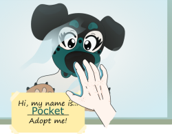 p0cket-pup: 💞🐶 “Adopt, Don’t Shop” ❌💰 