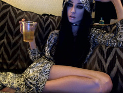 Felice Fawn Gallery