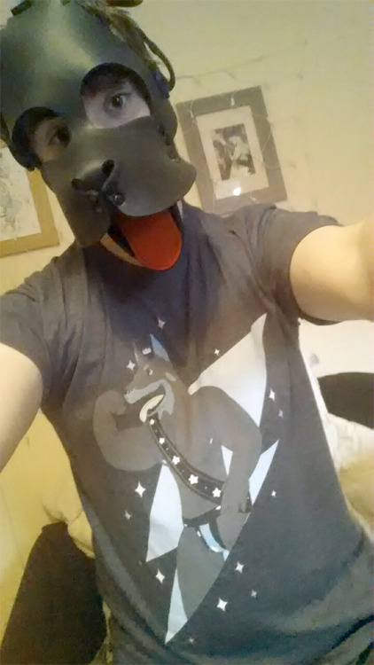 orangehares:  The pup shirt I designed turned up! Really happy with the quality and it looks really cute.  