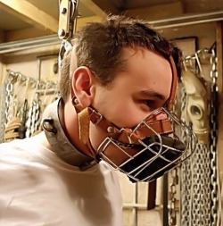 informed-consent:  Needing a muzzle and dog collar as big as