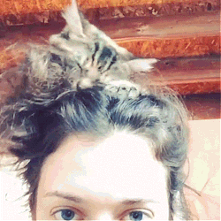maryjean20:  Kat Dennings Instagram: “The hottest hair