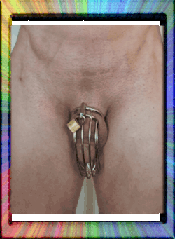 sub-for-lean-dom: Reasons For A Fag To Wear Chastity Every chastity