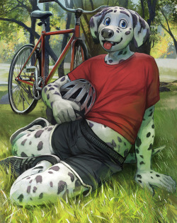 tacklebawks:  bike dogger