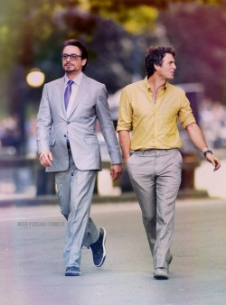 heeeysusan:  TONY STARK & BRUCE BANNER 